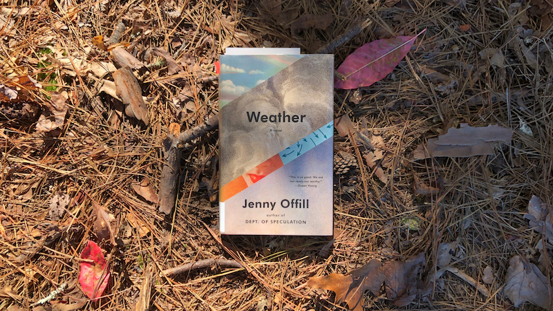 “Weather” by Jenny Offill: Summary & Analysis